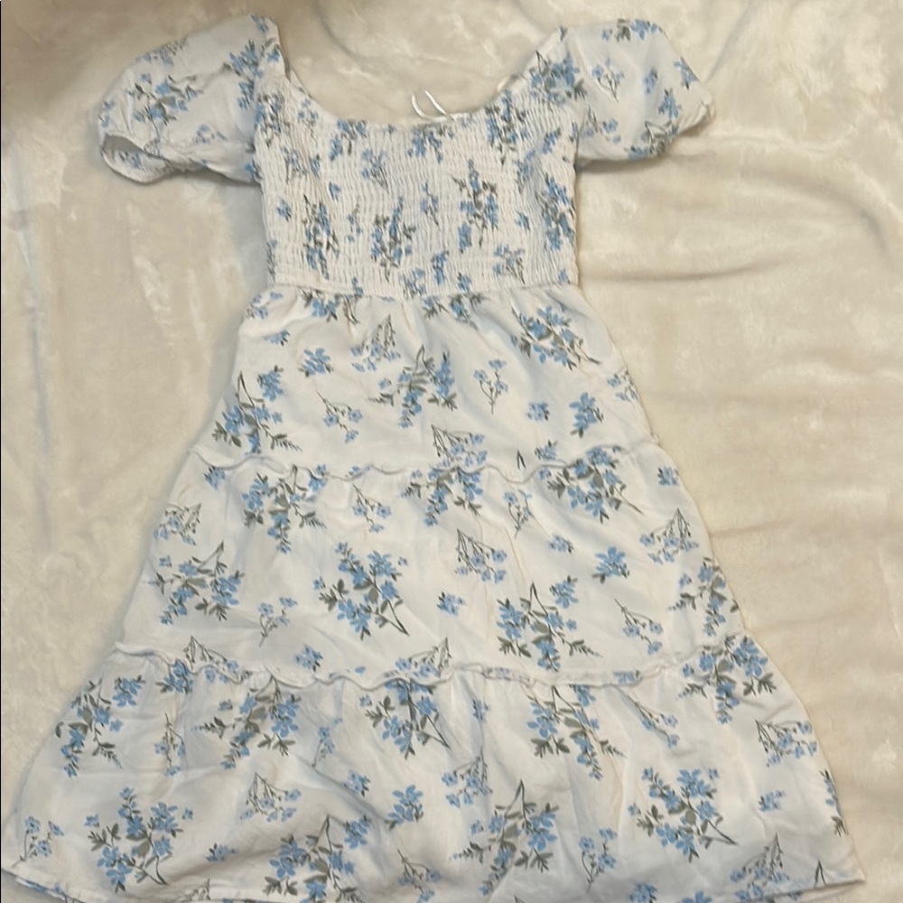 Floral Blue and White Hollister Dress